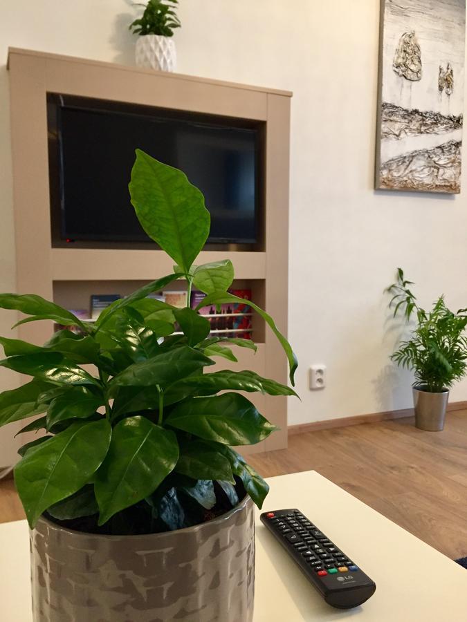 Beautiful Apartments In פראג מראה חיצוני תמונה